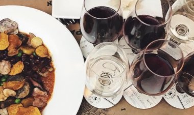 Amores Líquidos - por Samara Portela - Sommelière