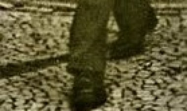 Mário de Andrade cateteou!