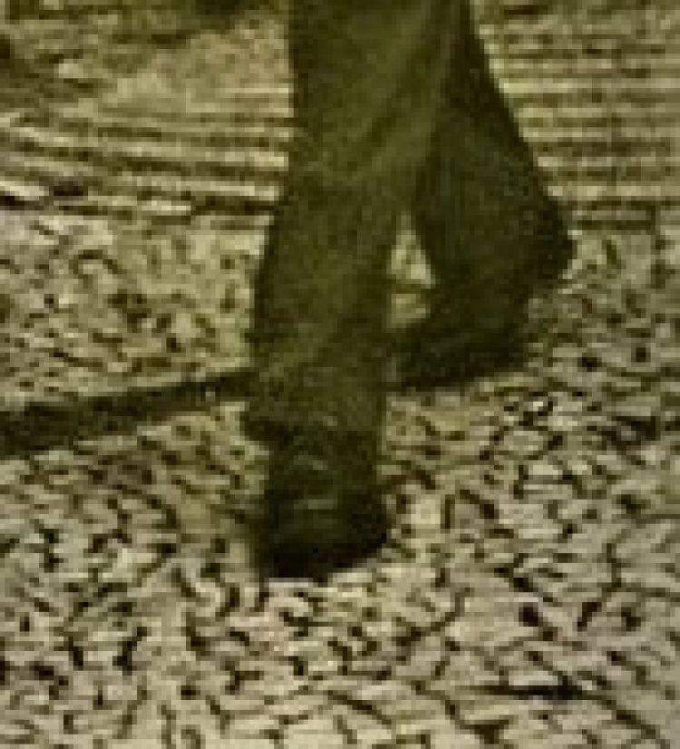 Mário de Andrade cateteou!