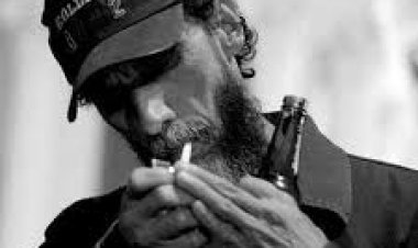 Livro Hipertexto do Lobo de Uberlândia