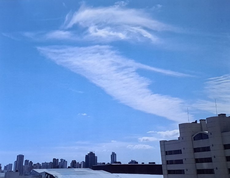 Palavras do Mestre Lee Chung Deh