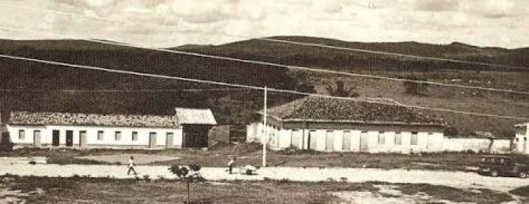 A Coluna Prestes e a Educação Pública